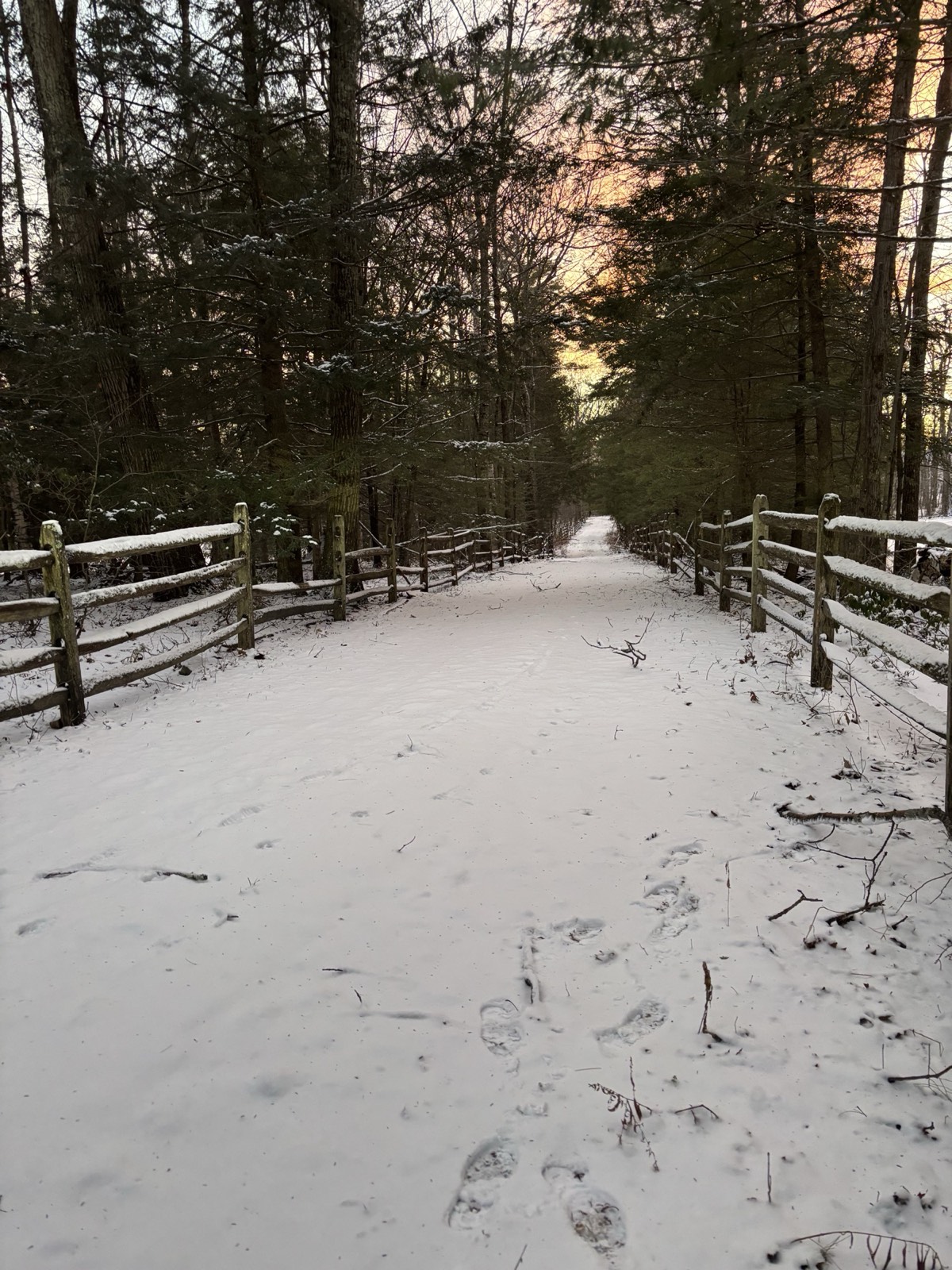Snow Sunset